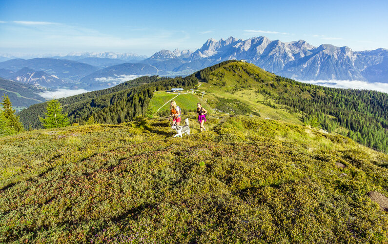 Family hiking in summer on the Planai with views of the Dachstein massif | © Johannes Absenger