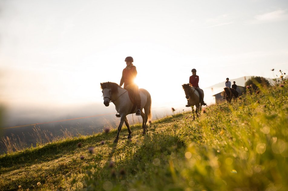 Horse ride at the ranch Seiterhof | © Dominik Steiner